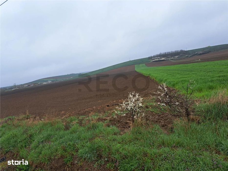 RECO teren Ghenetea 7800mp