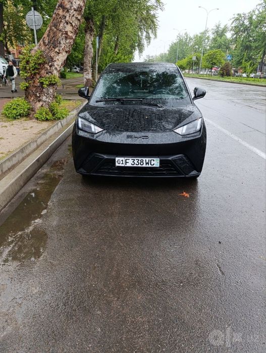 bvd segull sotlidai kraskasi bor rangi qora