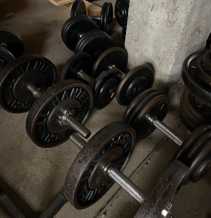 Gantere sala/gym/fitness