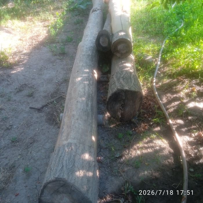 Тераклар сотилади