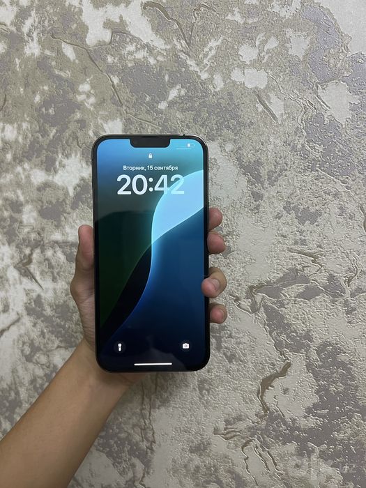 iPhone 13 Pro Max