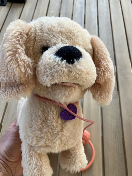 Noriel Pets catel interactiv