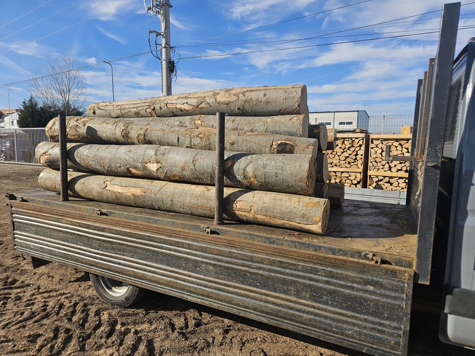 Depozit Lemn Foc Fag