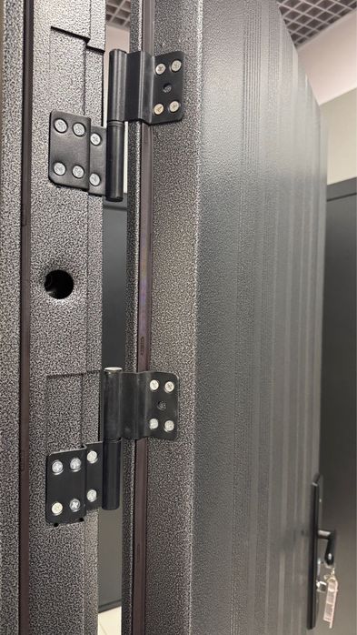 Дверь металлическая