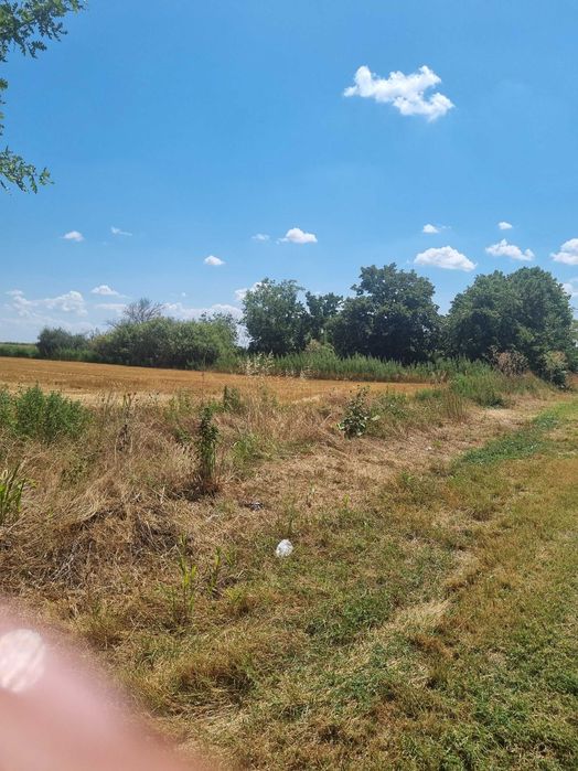 Teren 5000 m intravilan