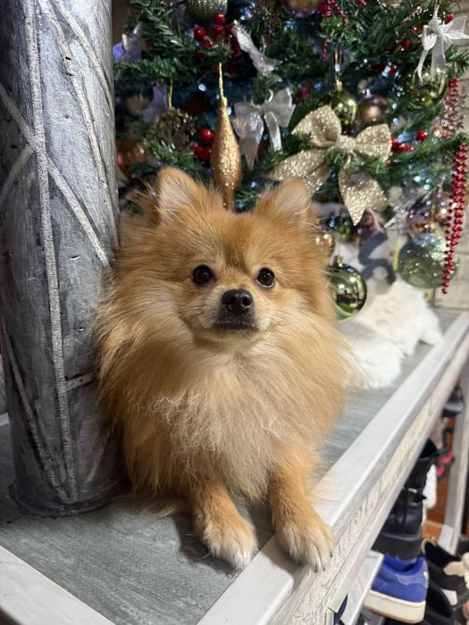 Придлогается к вязке