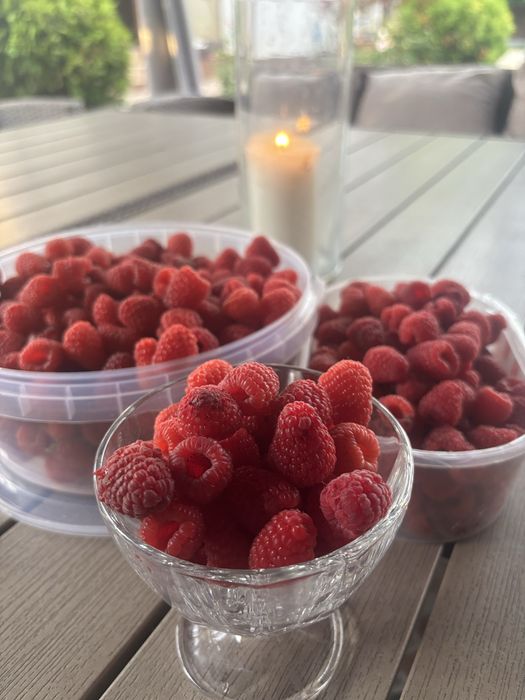 Thermomix Tm6 cu doua boluri,urilizat!