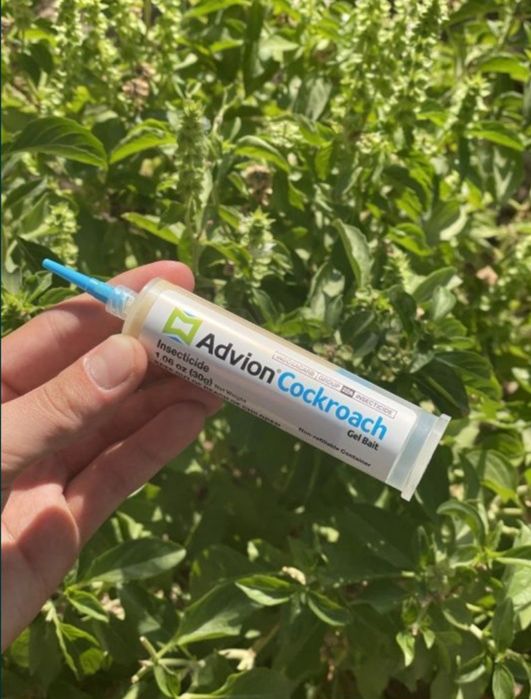 Tarakan dori geli ( advion cockroach) (AQSh)