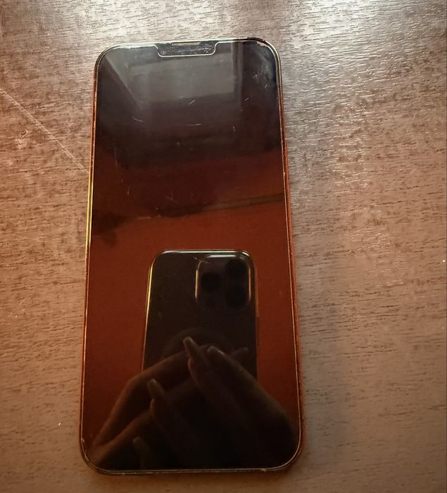 iPhone 13 Pro Max 256GB Alpine Green