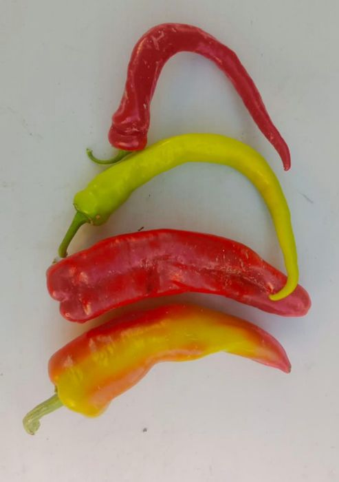 Продам перец горький, полугоркийй