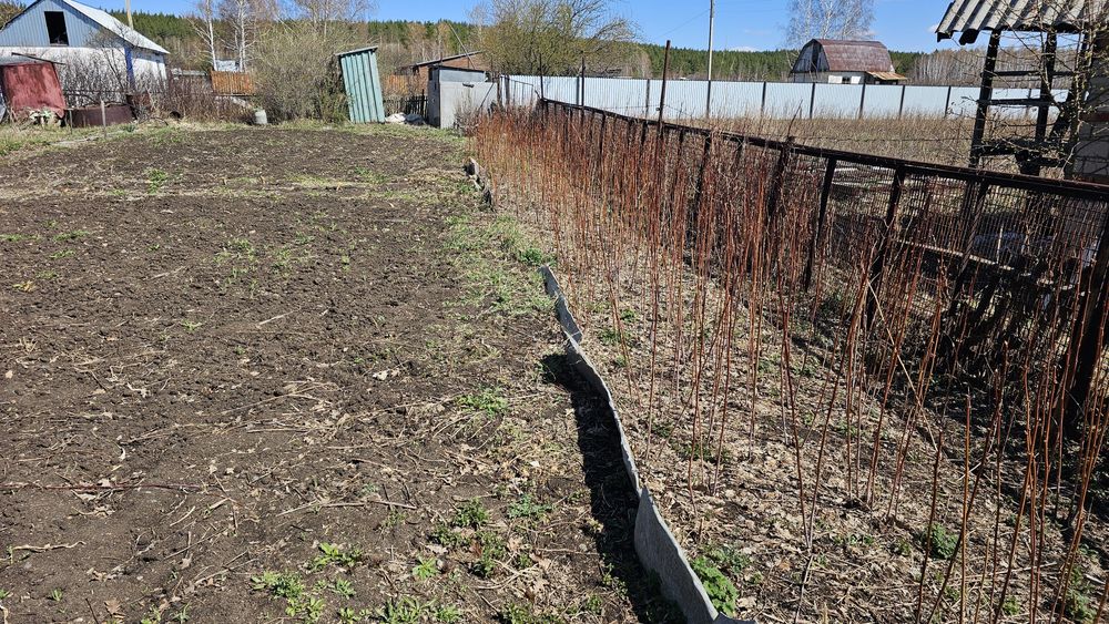 Продам дачу в с.Зеленый бор