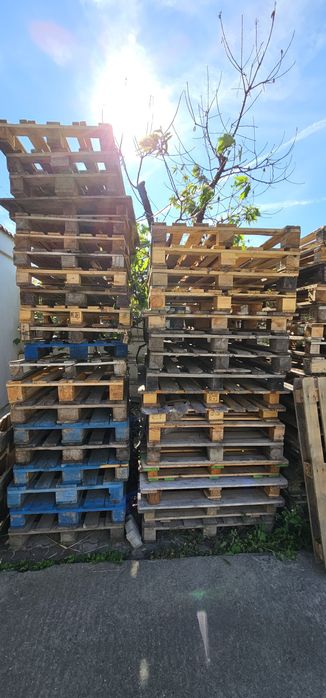 Vând paleti lemn