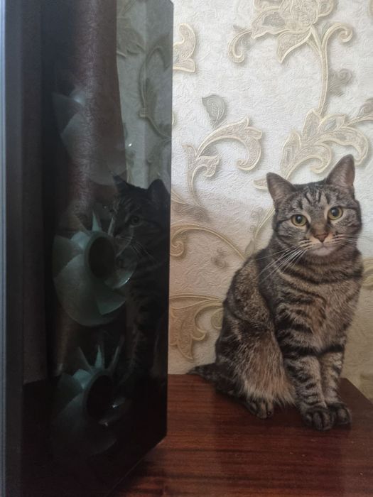 Игровой ПК на i5, RTX 2070 Super