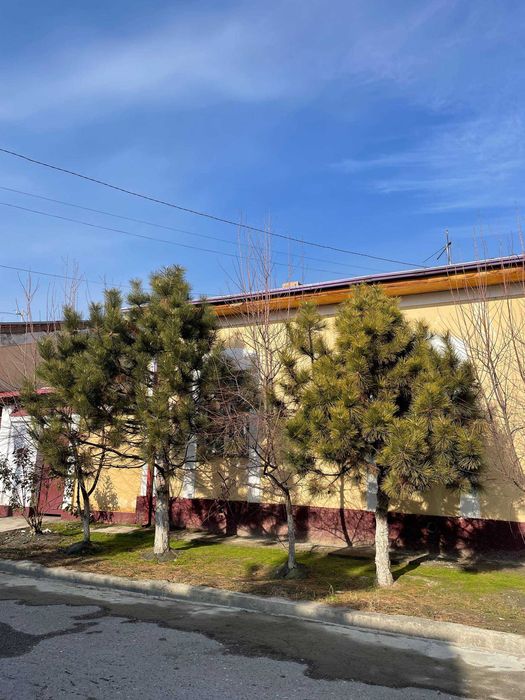 Xovli kottej sotiladi! 4 xona, 6 sotix, 90,000$