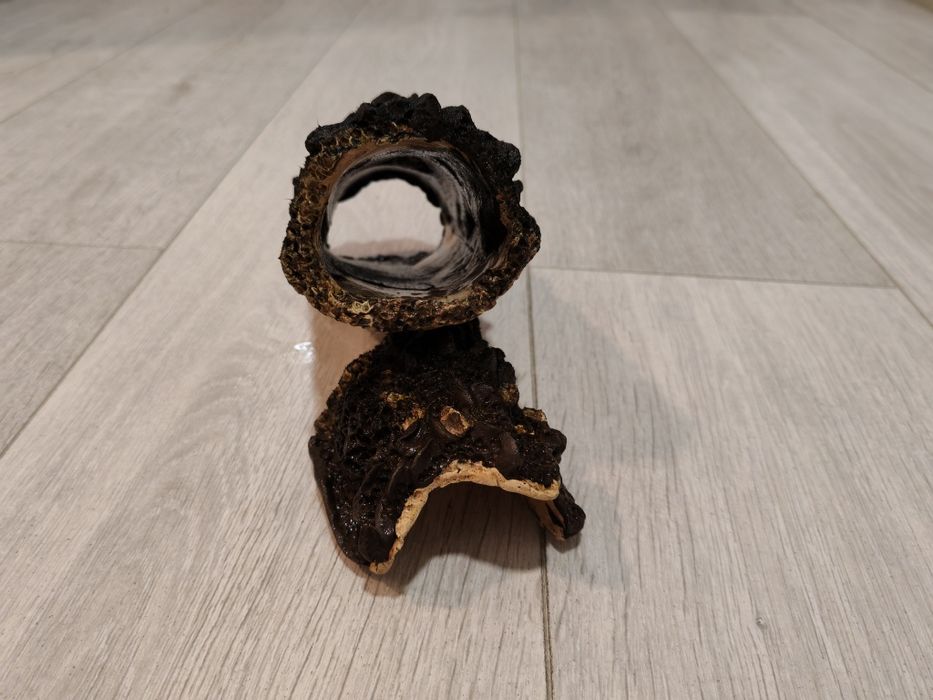 Vând decorațiune acvariu