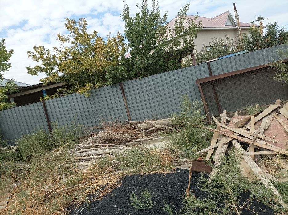 Отын ағаш тегин алып кетиниздер