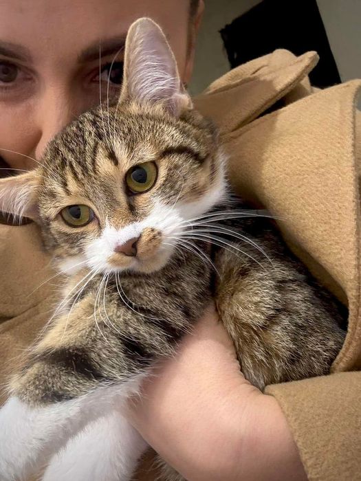 Кротката Рая на 9 м търси дом