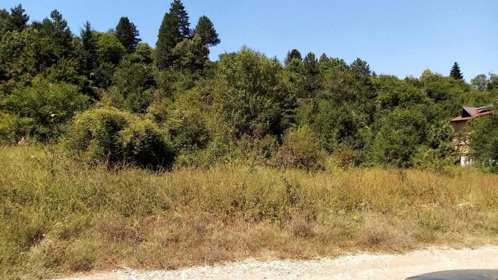 Продава се Парцел в с. Панчарево, Област София-град - 2000 кв.м за 175 €/кв.м - Снимка #2