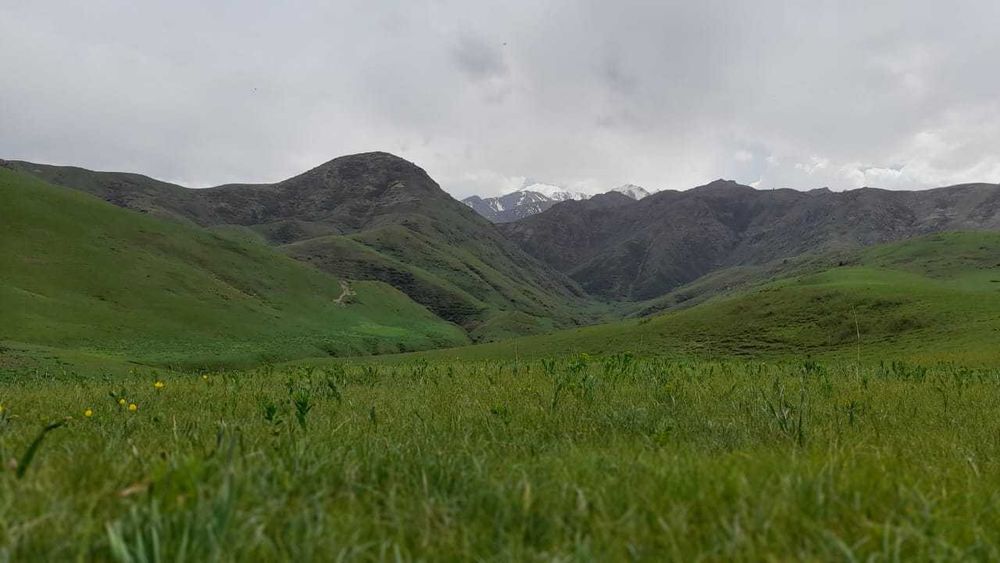 Срочно продается фазенда