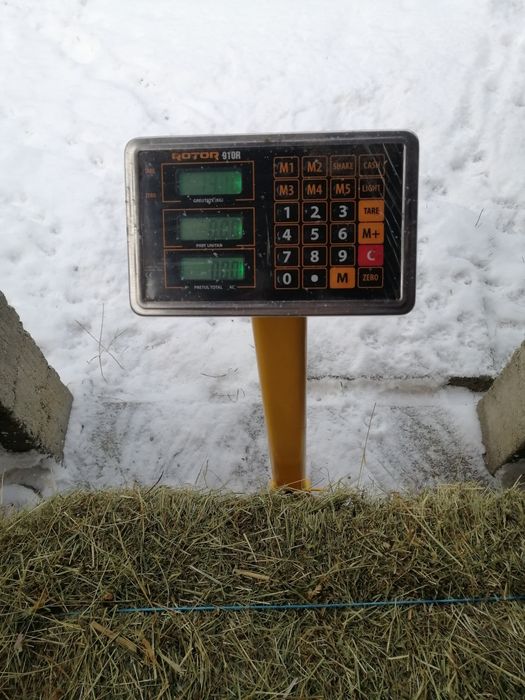 Fan de vanzare (an prod:2025)