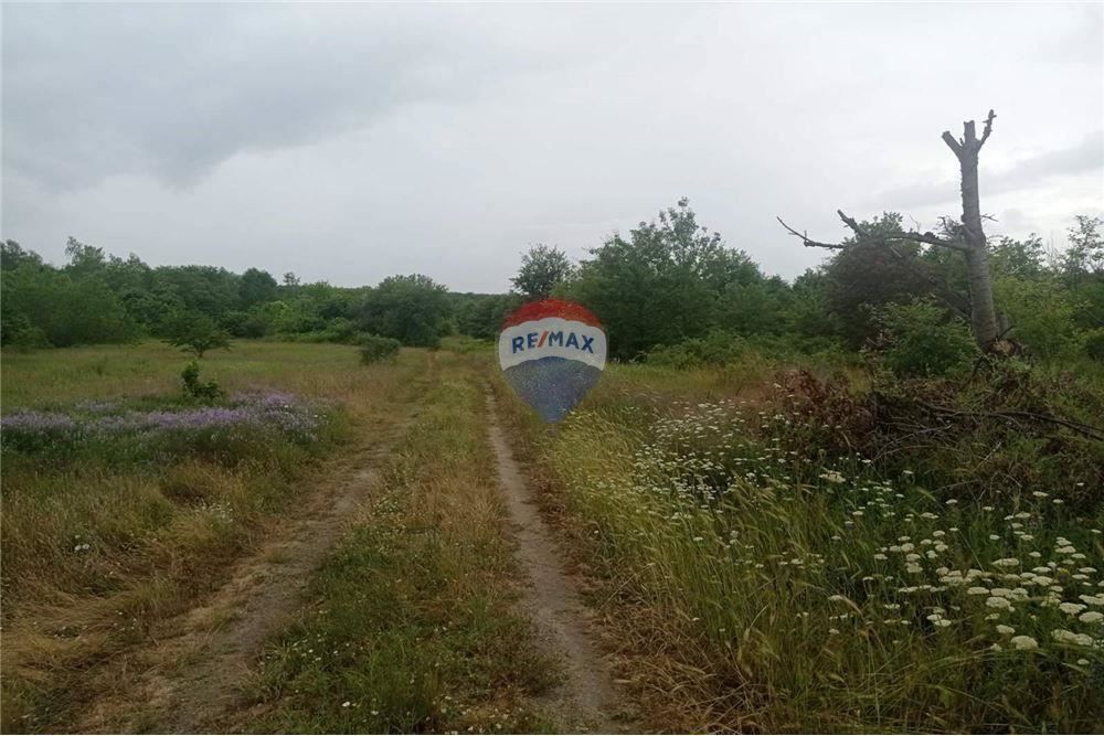 Земеделска земя, с. Генерал Кантарджиево, ТЕ