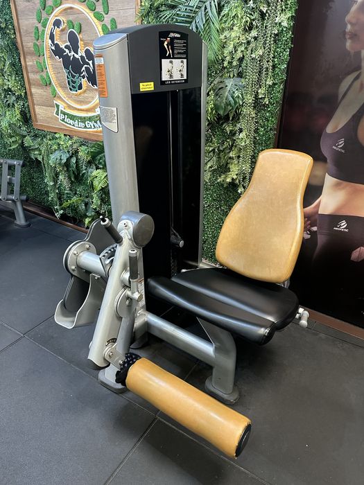 Предно и задно бедро Life Fitness