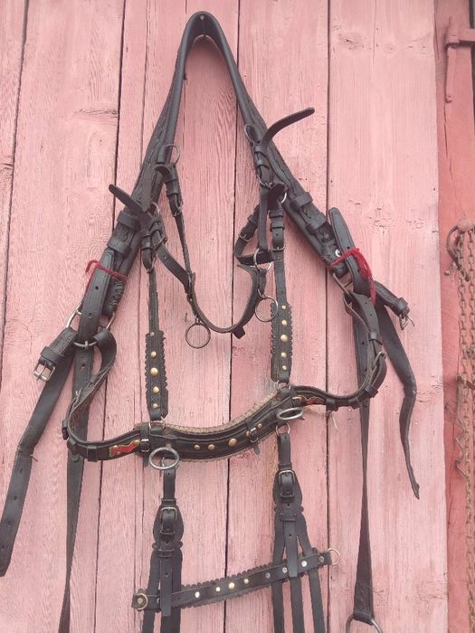 Ham de Cluj și căruță de Lona