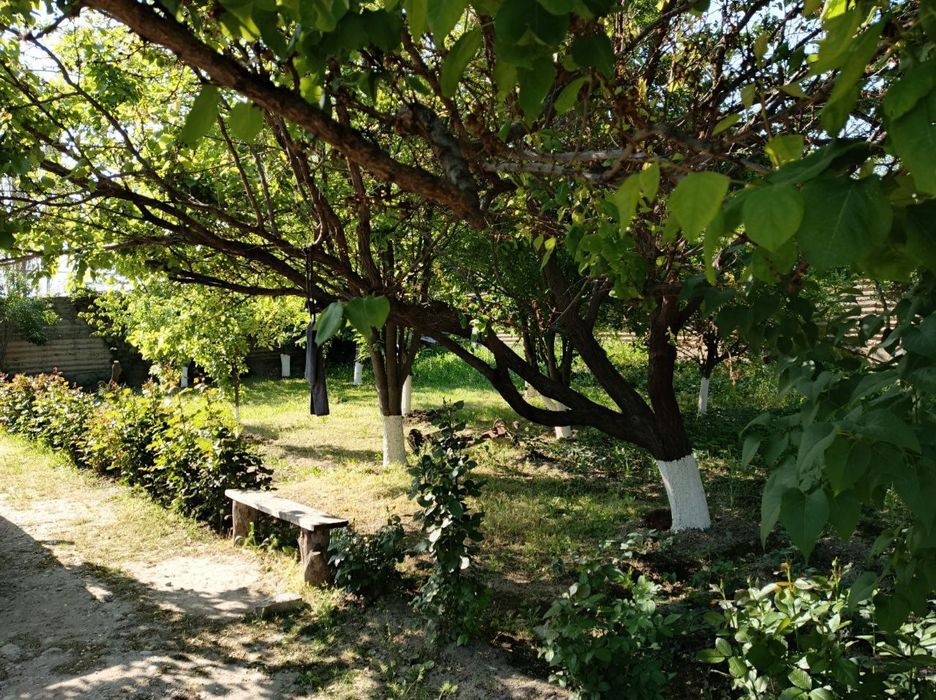 СРОЧНО! Сотилади 3 сотих