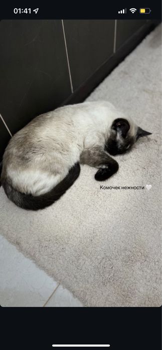 Отдам в хорошие руки