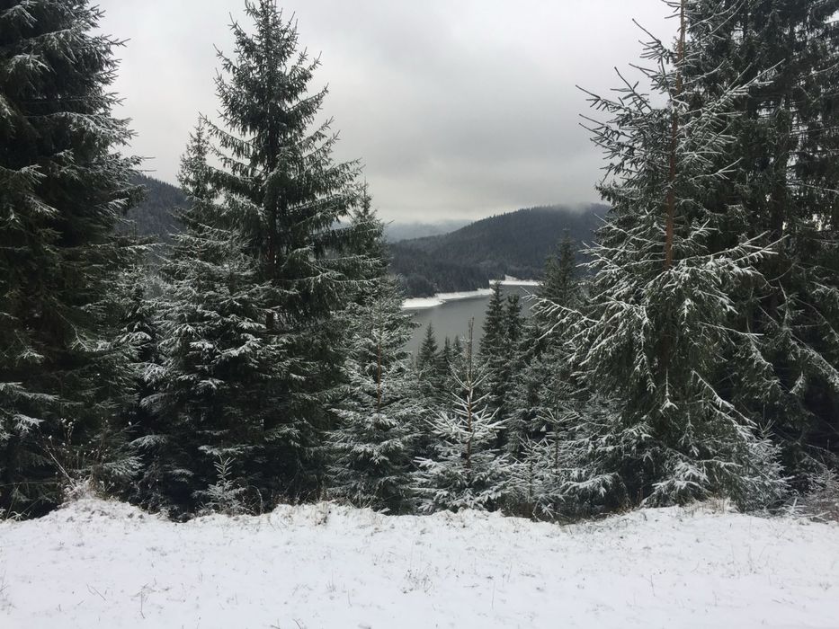 Vand Teren Belis aproape de lac