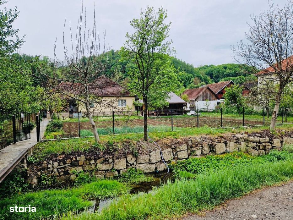 Proprietar vând casa cu gradina generoasa orasul Brad, jud.Hunedoara.