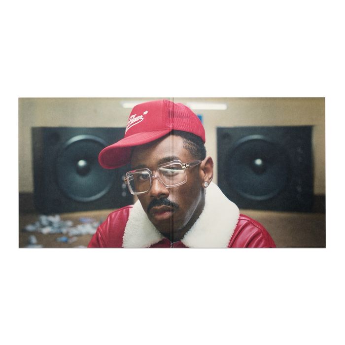 Винил Tyler, the creator - Don’t Tap The Glass