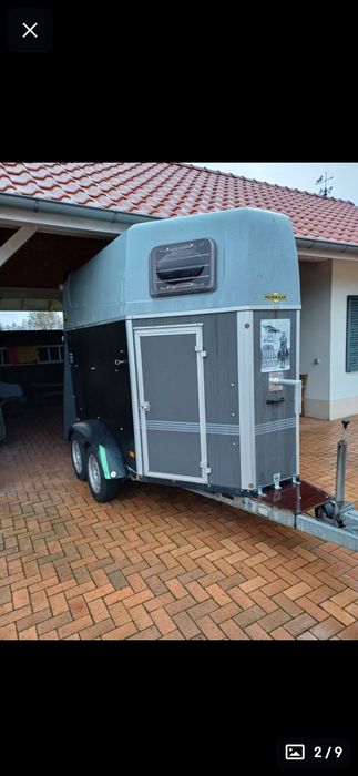 Коневозка на заказ