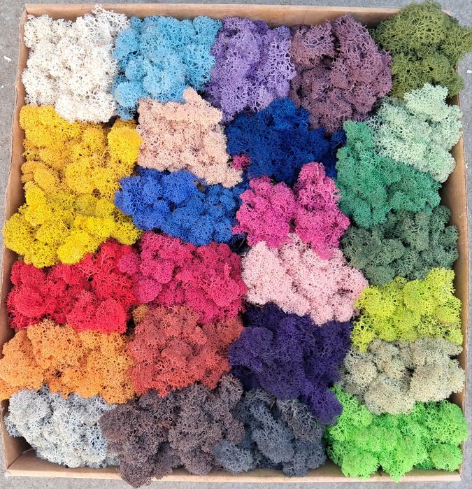 !Промоционални цени Скандинавски мъх и топчест мъх