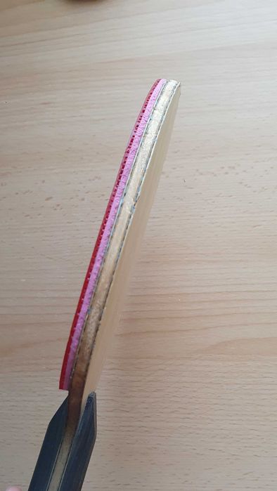 Fata de paleta tenis de masa, Joola Rhyzen