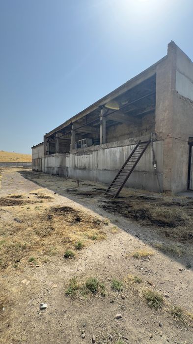 Ishlab chiqarish uchun 62 sotix joy, 500 tonna xolodilnigi bilan