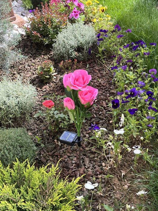 Роза на солнечных батареях