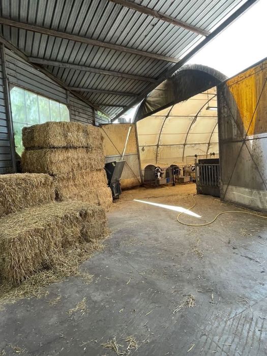 Продава се Земеделски имот в Димитровград -  кв.м за 153000 €/дка - Снимка #7