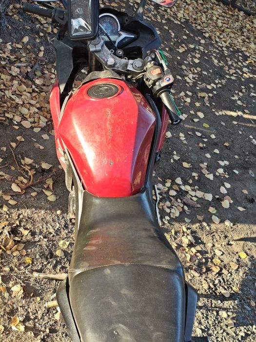 Продам Racer skyway