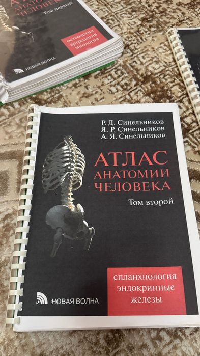 Атлас анатомии человека Синельников
