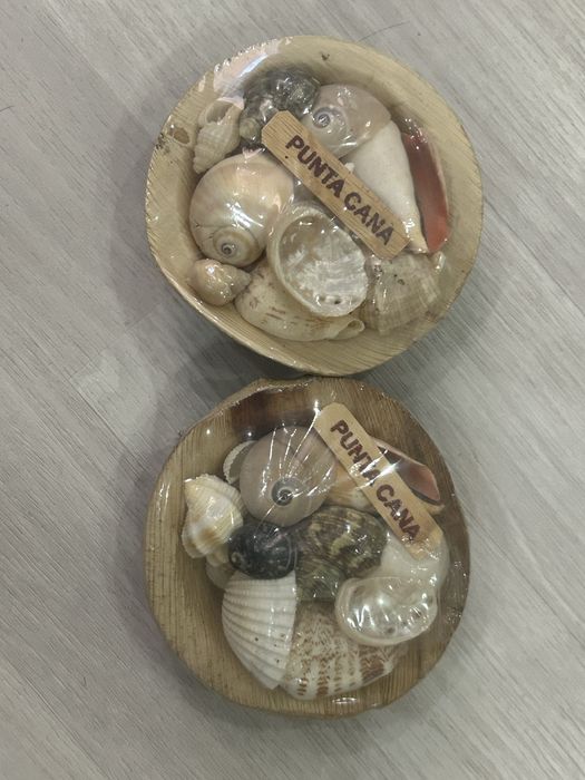 продам морские сувениры