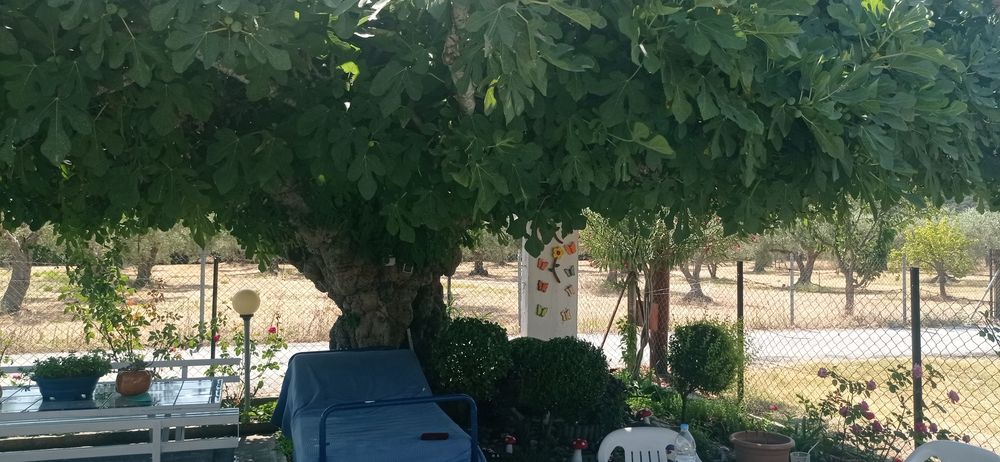 Продава се къща в  Гърция - Ситония