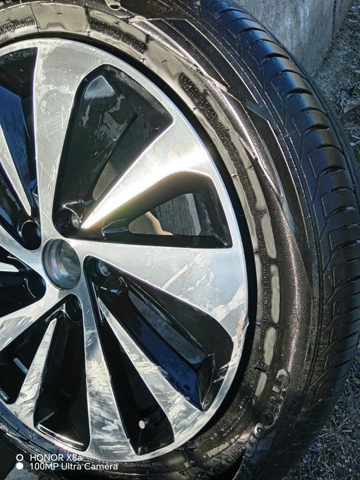 Byd чимпион гибрит дискаси 1 дона