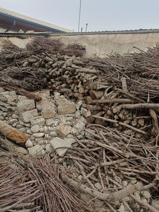 Отин бор нархи келишилади