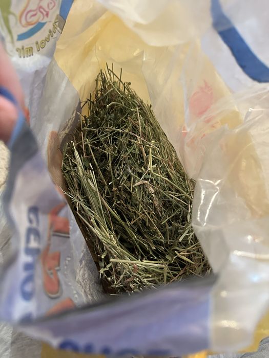 Хомикариум и вкусняшки