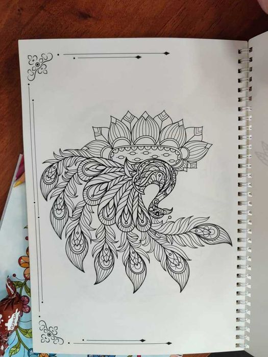 Раскраска для детей 3-7 лет выше