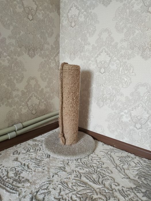 Когтеточка в хорошем состоянии