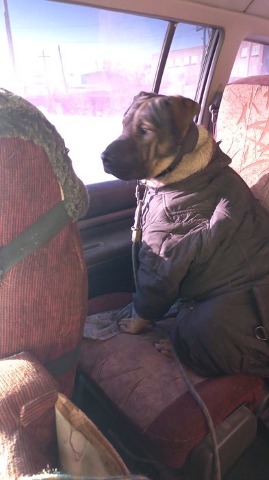 Парень ищет девушку