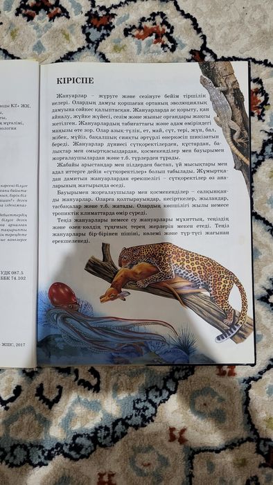 Книга, Энциклопедия