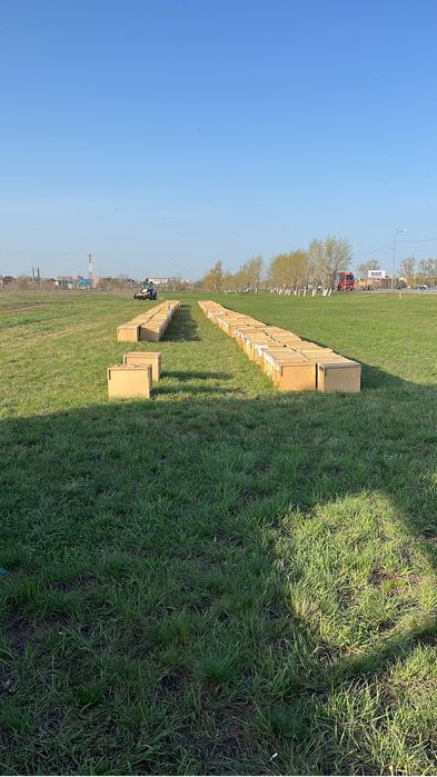 Пчелы пчелопакеты